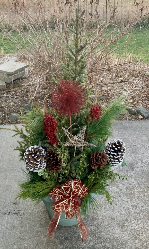 pot with holiday greenery