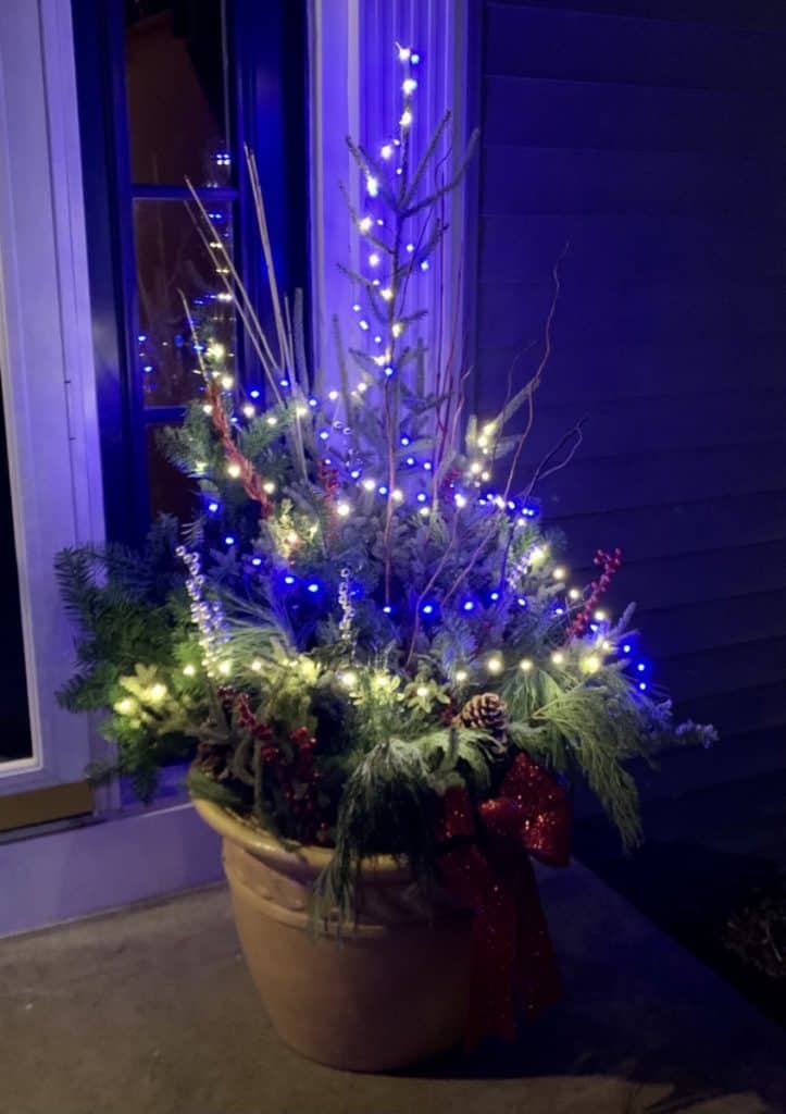 Pot of evergreens with lights