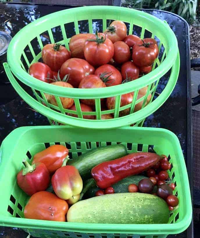 Vegetables in baskets