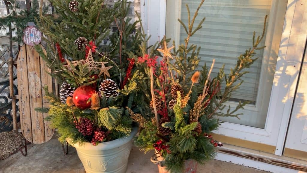 Holiday porch pots fall/winter gardening project