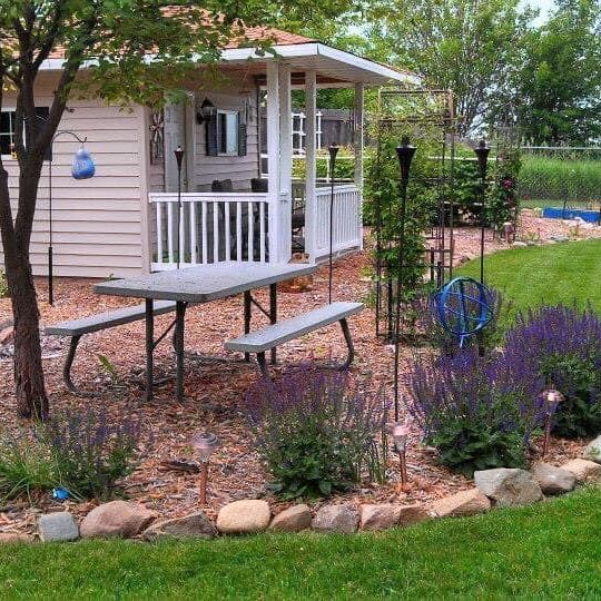 beautiful yard and garden