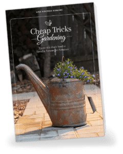 Cheap Tricks Gardening book cover