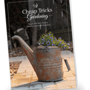 Cheap Tricks Gardening book cover