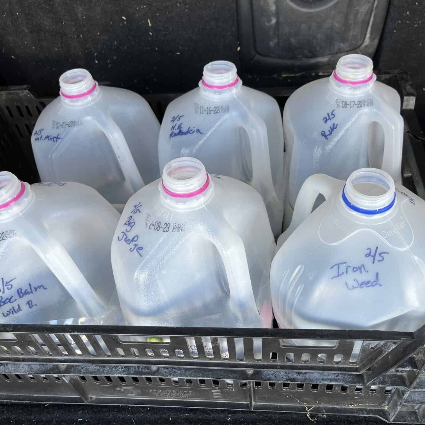 milk jugs for winter seed sowing