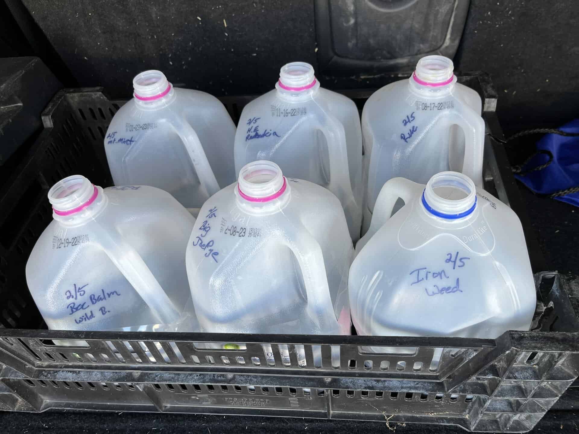 milk jugs for winter seed sowing