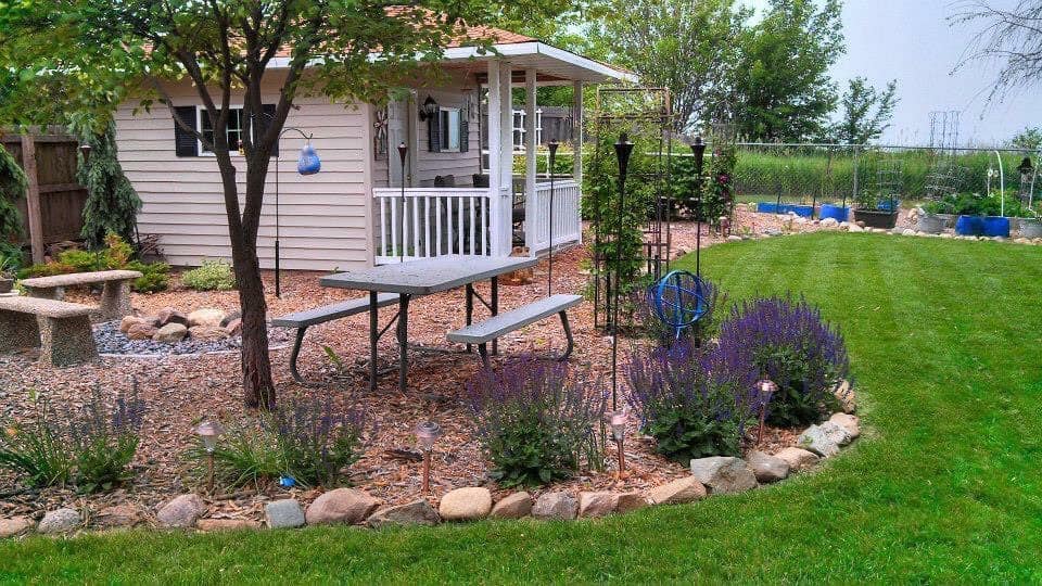 Garden shed in backyard