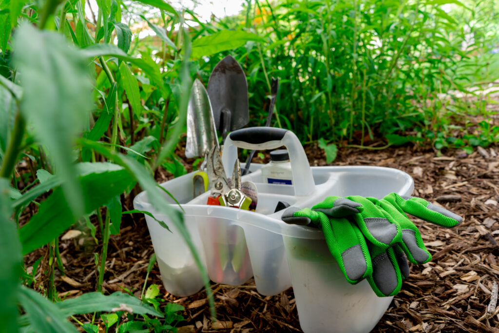 gardening tools