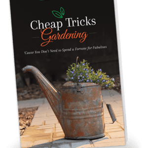 Cheap Tricks Gardening